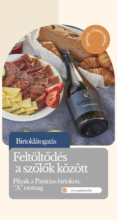 Piknik a Patricius birtokon “A” csomag